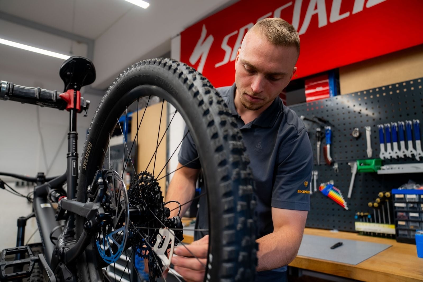mavic laufräder rennrad test Cosmic S 42 Disc 28”/700C Road Carbon Laufradsatz – Grundtner Blauer Real HT Graphic Motorcycle Parts: Belt Drives Farbe:perky purple